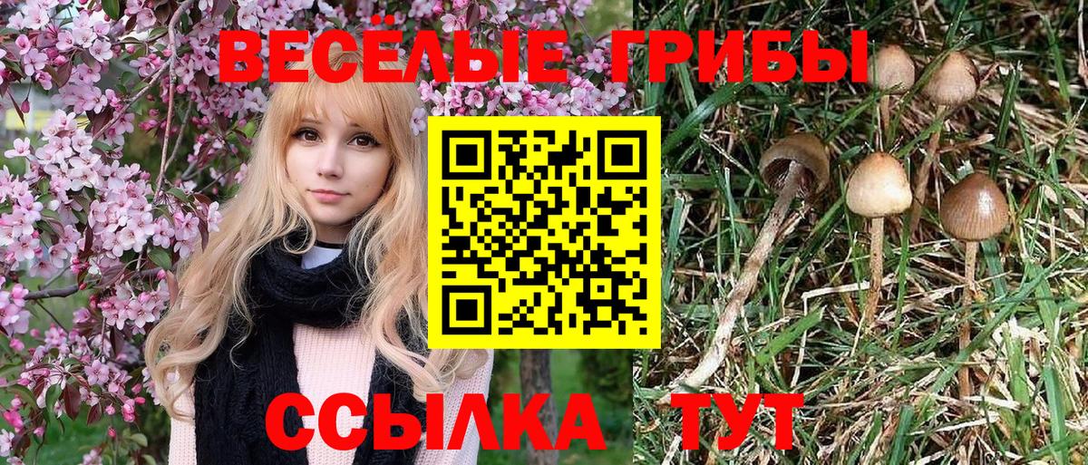 Псилоцибиновые грибы ЛСД Тобольск
