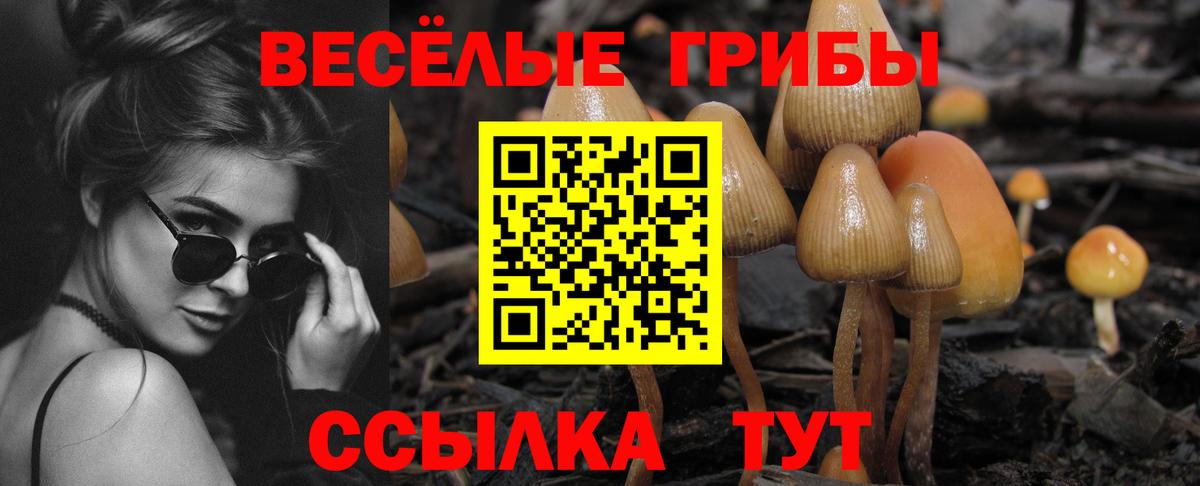 Тобольск  Псилоцибиновые грибы MAGIC MUSHROOMS  Вход с VPN 